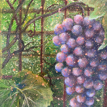 on the vine | original painting<br><i>30x30cm on gallery wrapped canvas</i><br>- framed painting -