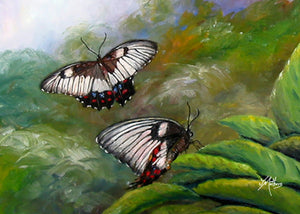 butterflies | A4 print