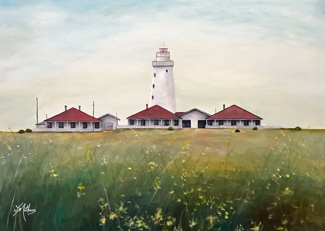 cape willoughby lighthouse | A3 print