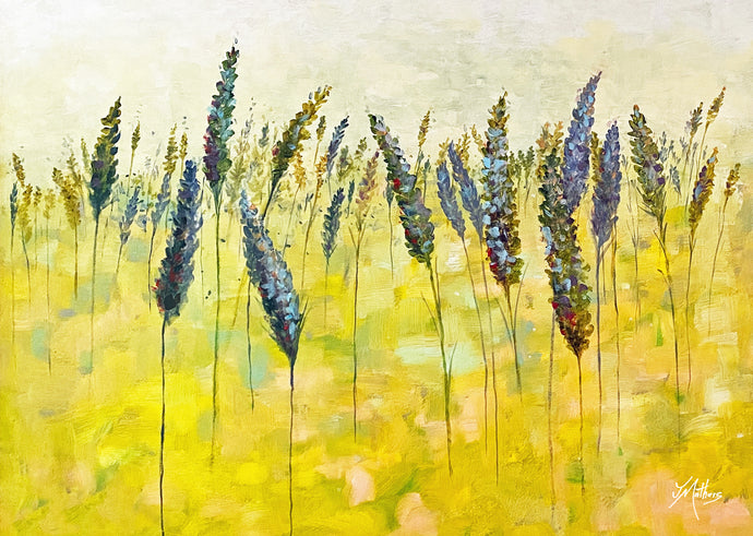 lavender fields | A3 print