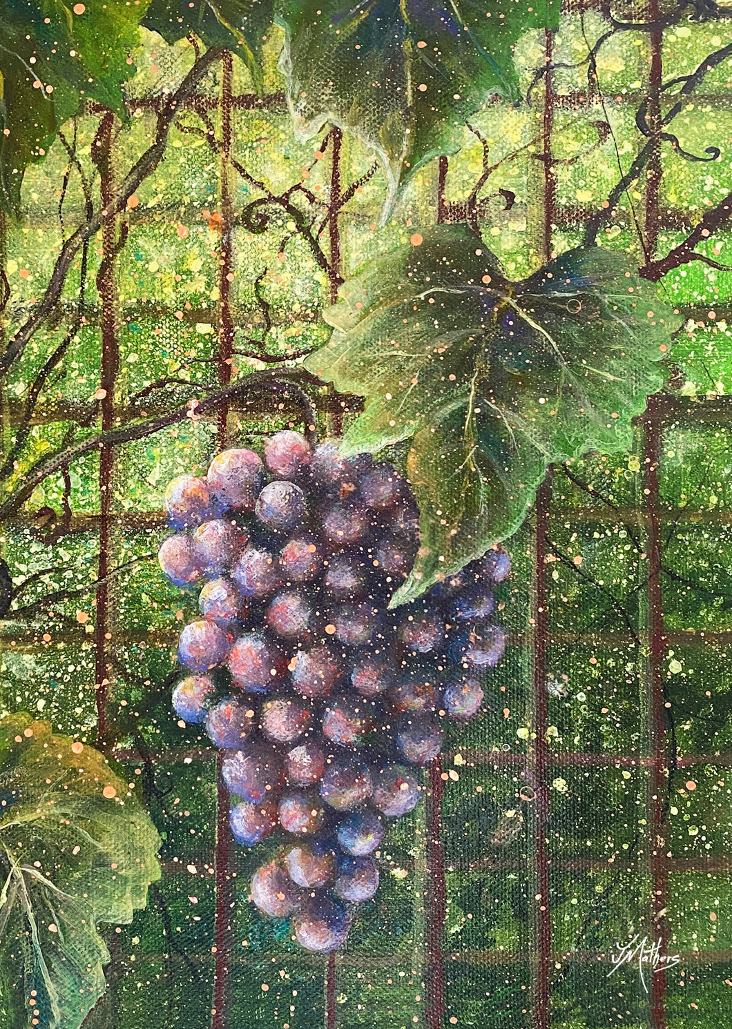 on the vine | A3 print