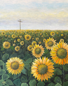 sunflower power  |  original painting<br><i>60x76cm on gallery wrapped canvas</i>