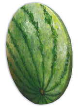 a watermelon  |  50x50cm  |  original painting SOLD