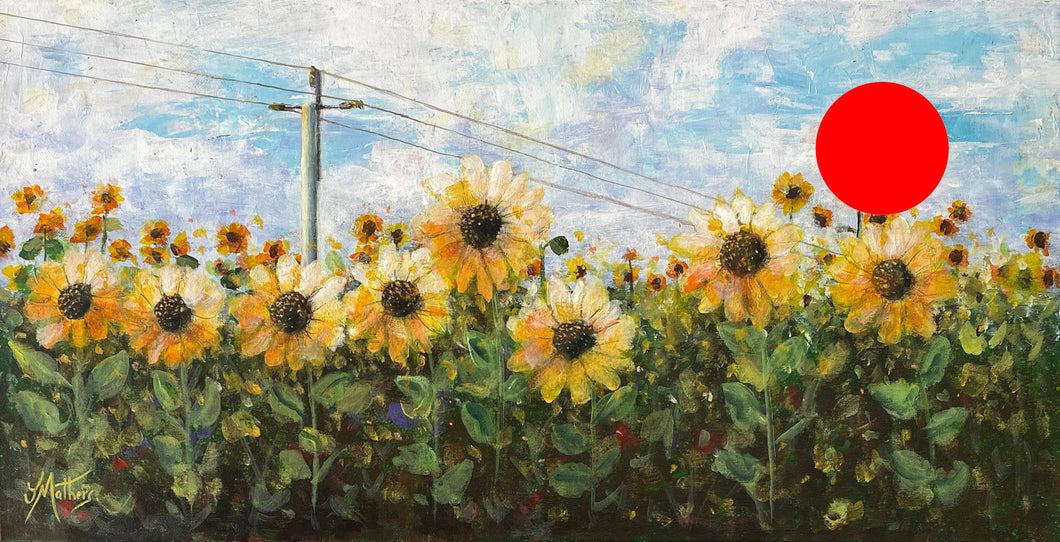 sunflowers of the scenic rim |  original painting<br><i>framed | 61x31cm + frame</i> SOLD