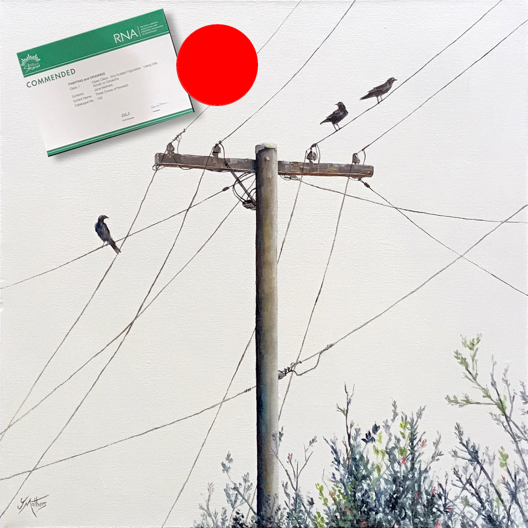 three crows of norwich  |  60x60cm  |  original painting SOLD